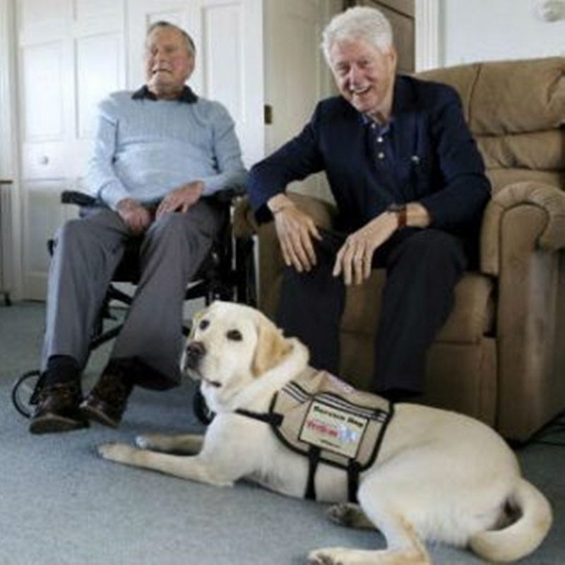 Voormalig president Bush verwelkomt eennieuwe dienstenhond in Kennebunkport Compound